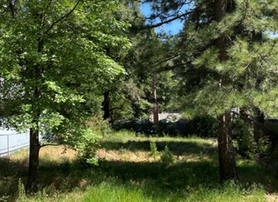 24024 Pioneer Camp Rd Sold-By-Sims